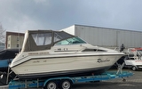 Searay 240 DA Diesel